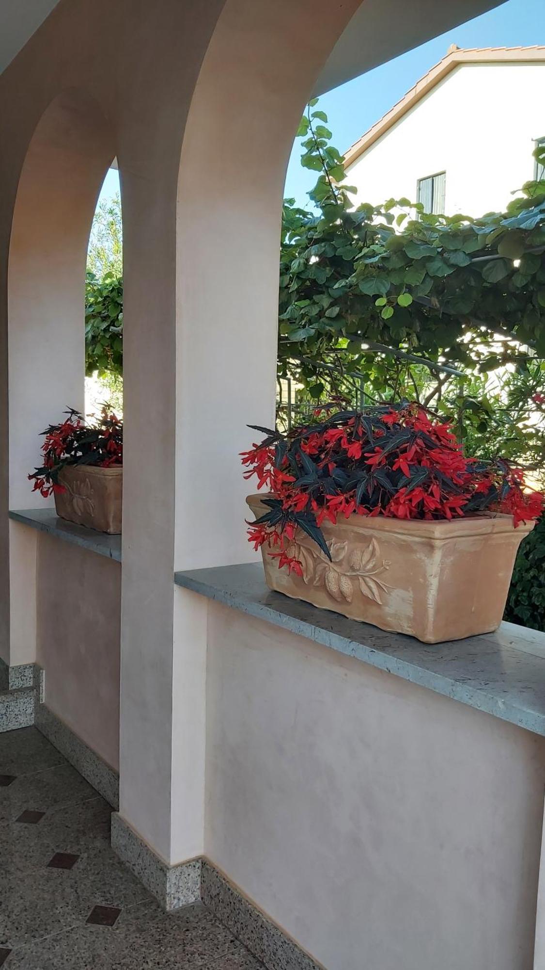 Apartments Villa Mirjam Poreč Eksteriør billede